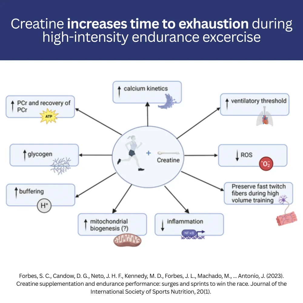 Improve Endurance & Stamina