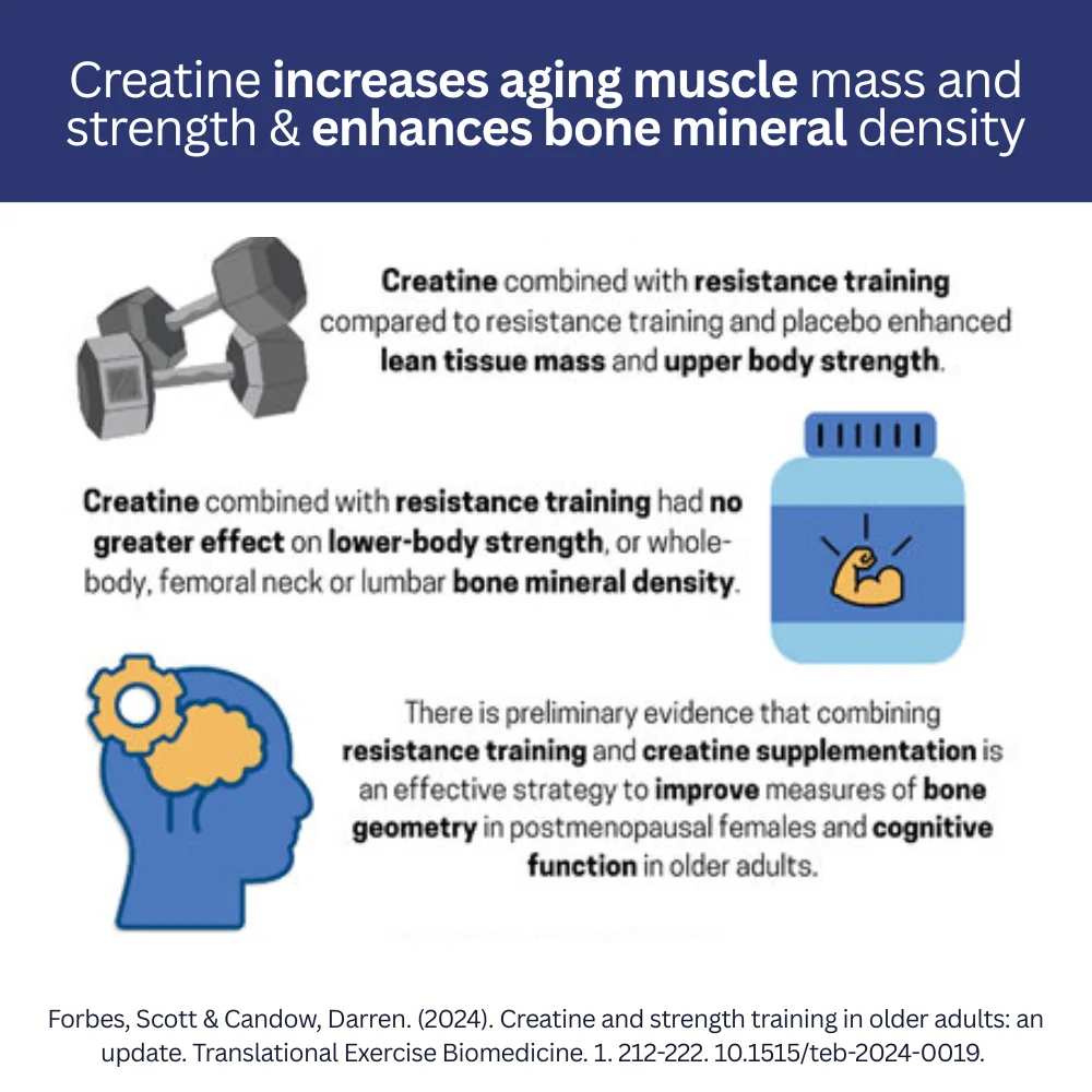 Enhance Muscle Strength Even as You Get Older