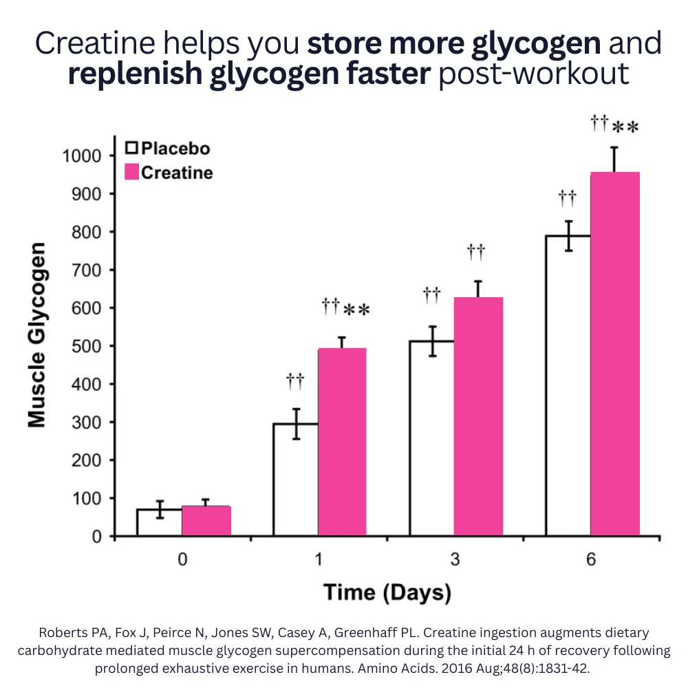 Increase Glycogen Storage