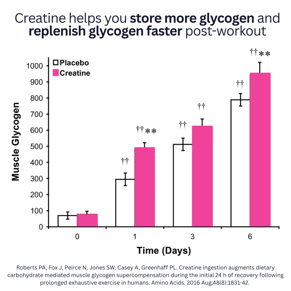 Creatine for Endurance Athletes: Fast Absorbing & No Bloat