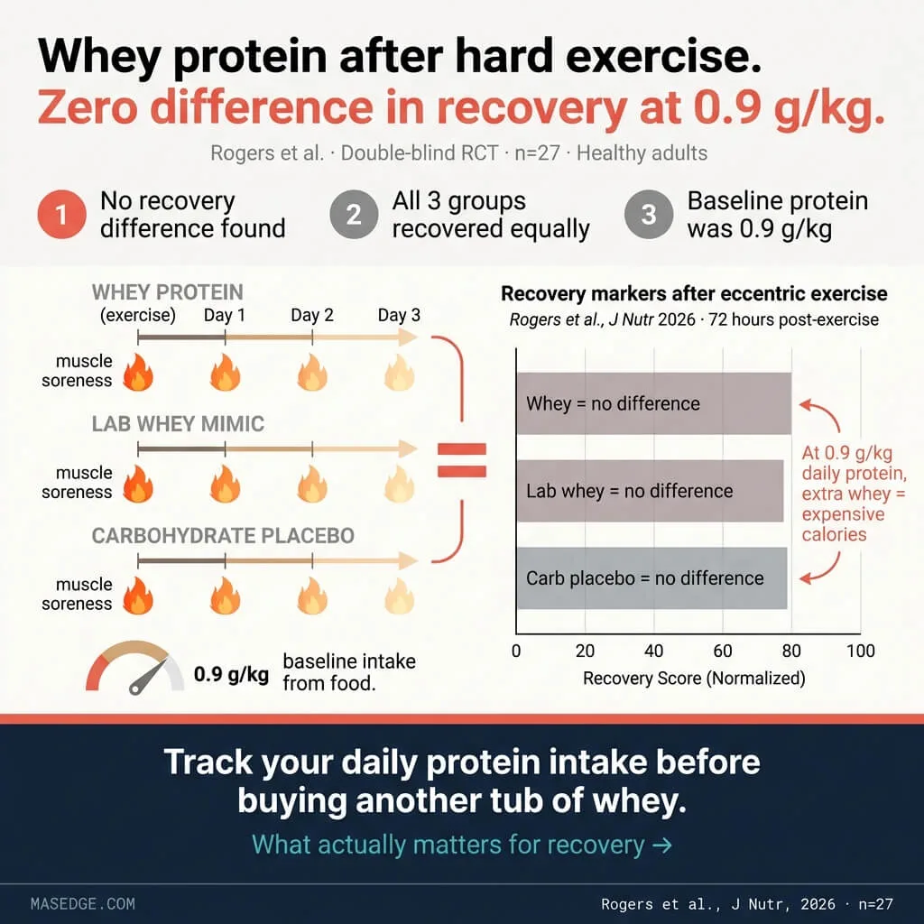 Infographic showing whey protein had zero recovery benefit over carbohydrate placebo at 0.9 grams per kilogram daily protein intake